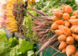 Protect Health and Prevent Illness