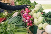 Laurie Love Vegetables