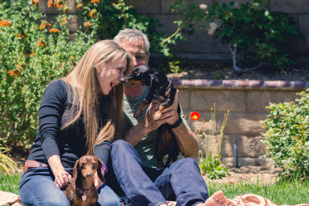 Laurie Love Puppy Love
